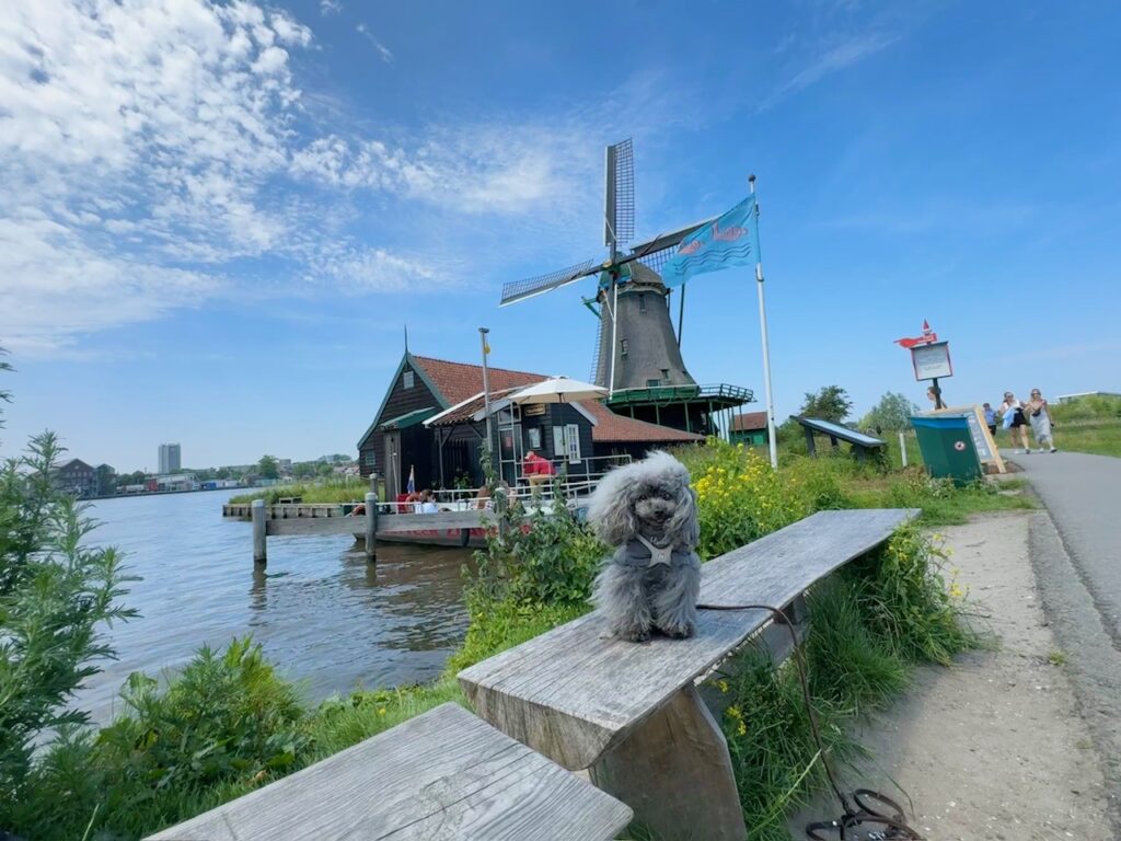 オランダ