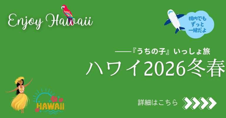 スライドバナーhawaii